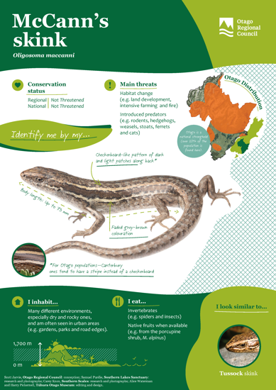 ORC Mccann's Skink A4 2024 (1)
