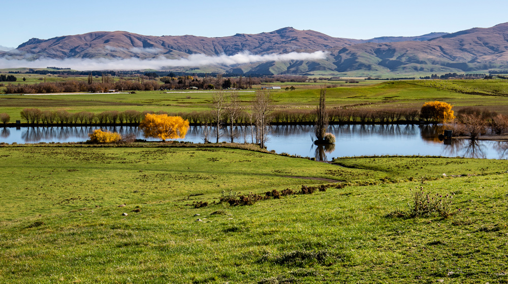 Farmpond Central Otago Adobestock 237368087