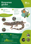 ORC Kawarau Gecko A4 2024 (1)