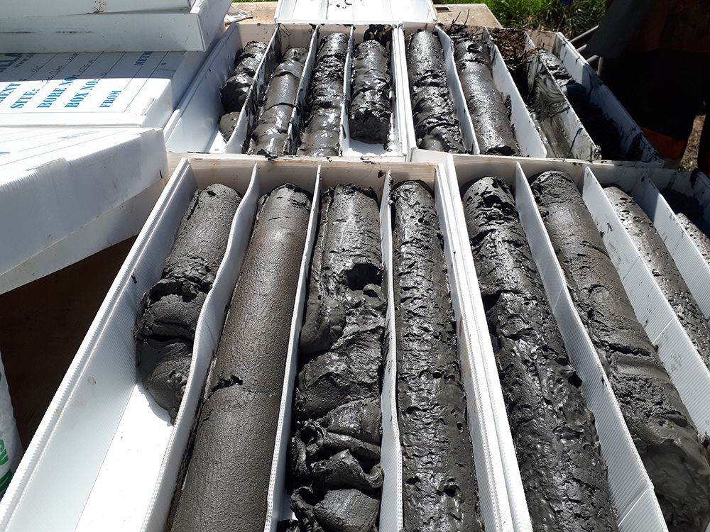 Drill core from a Clutha Delta site on the Inch Clutha near Lawson Road (October 28 2021)