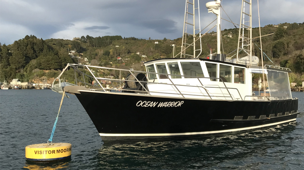 Careys Bay Visitor Mooring