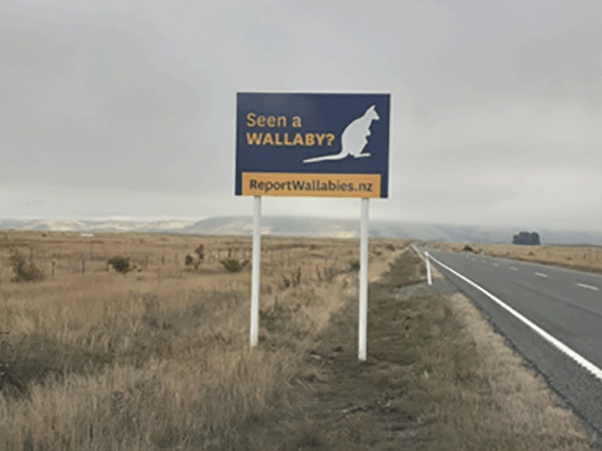 One of the new Wallaby signs on the roadside in Canterbury near Omarama.