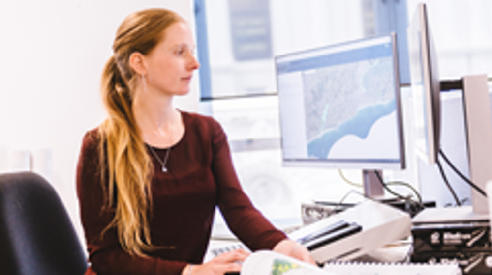 Apply for Intensive Winter Grazing