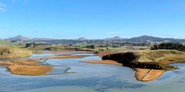Te Hakapupu Restoration Project