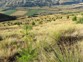 Coronet Peak