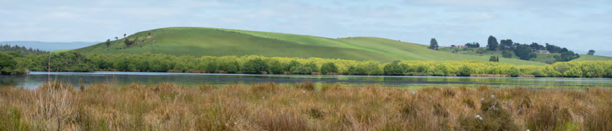 Otago landscape