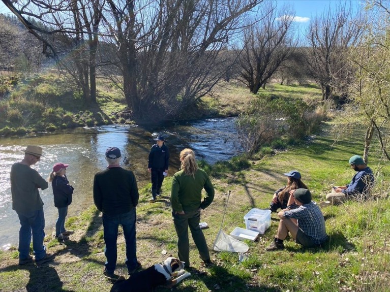 People sitting or standing on grassy bank of Luggate Creek