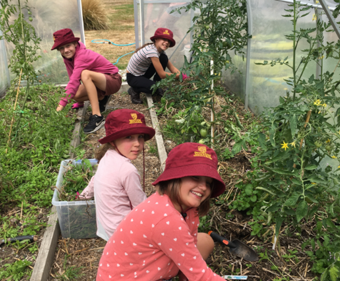 Glenorchy School Garden