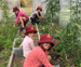 Glenorchy School Garden