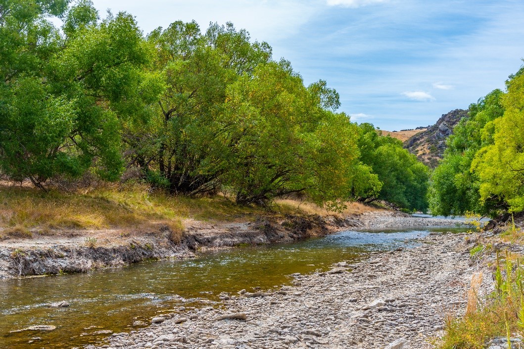 Low flow in Otago river