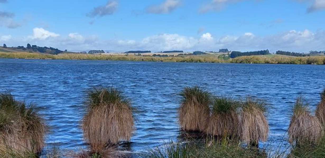 Robson Lagoon