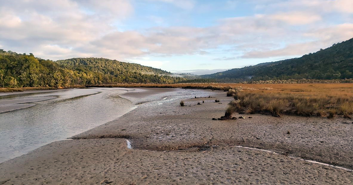 Daytime image of Catlins river showing mudflaps with blue sky in background