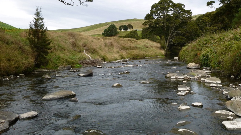 Catlins River At Houipapa 1200 X 630