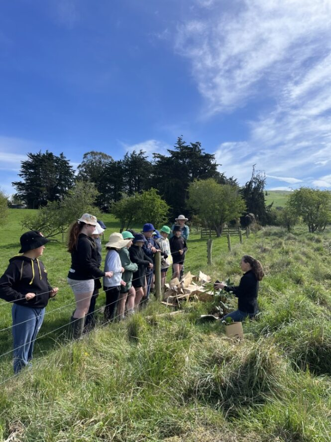 Groups standing at fenceline being showing how to do planting