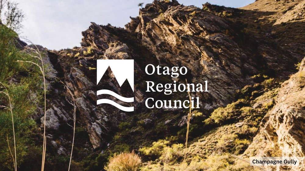 Web Tiles 231129 Champagne Gully