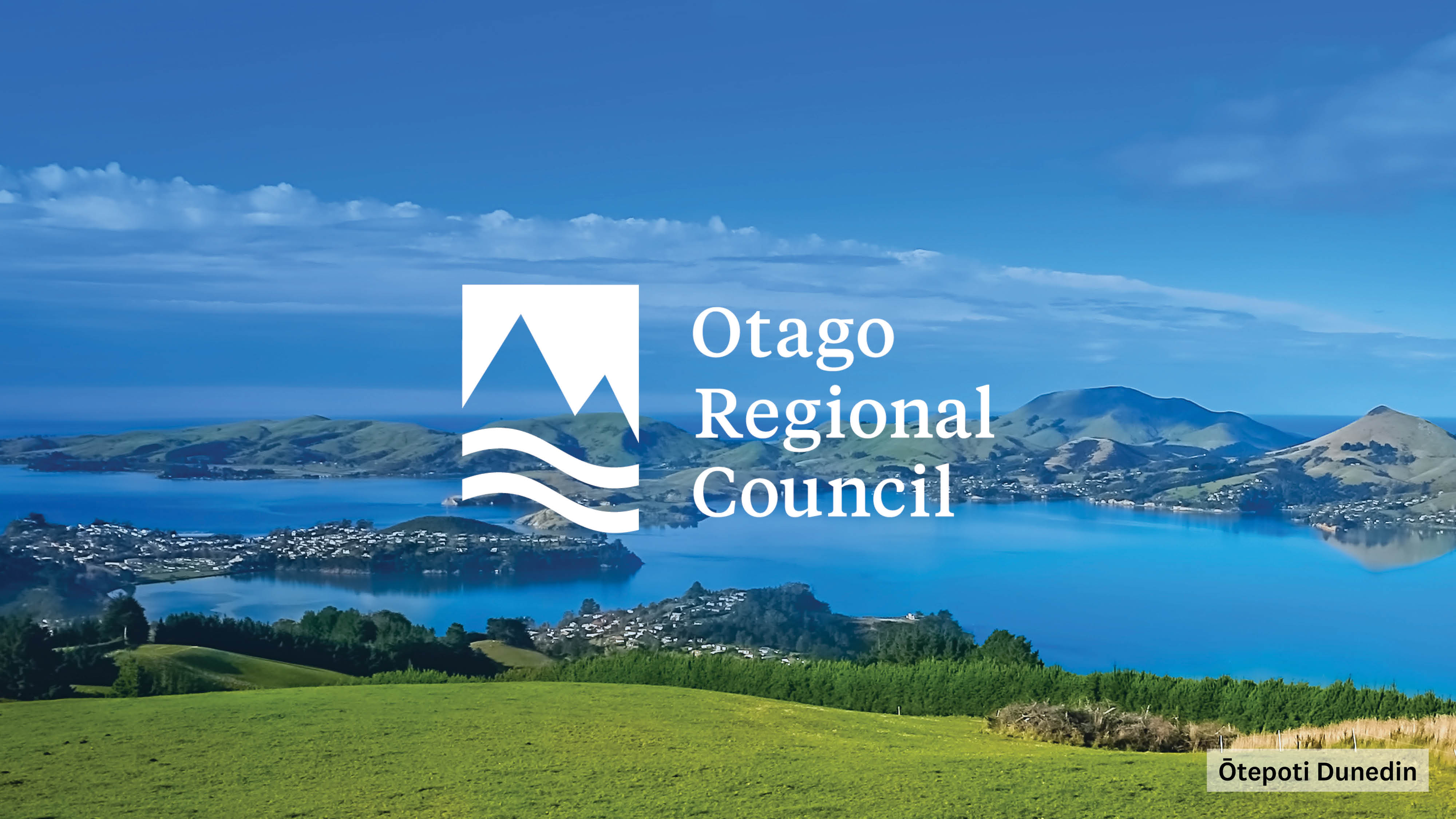 Web Tiles 231129 Ōtepoti Dunedin (2)