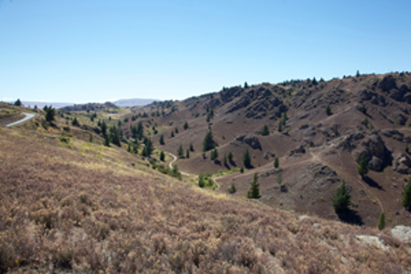 Hills behind Alexandra.jpg (1)