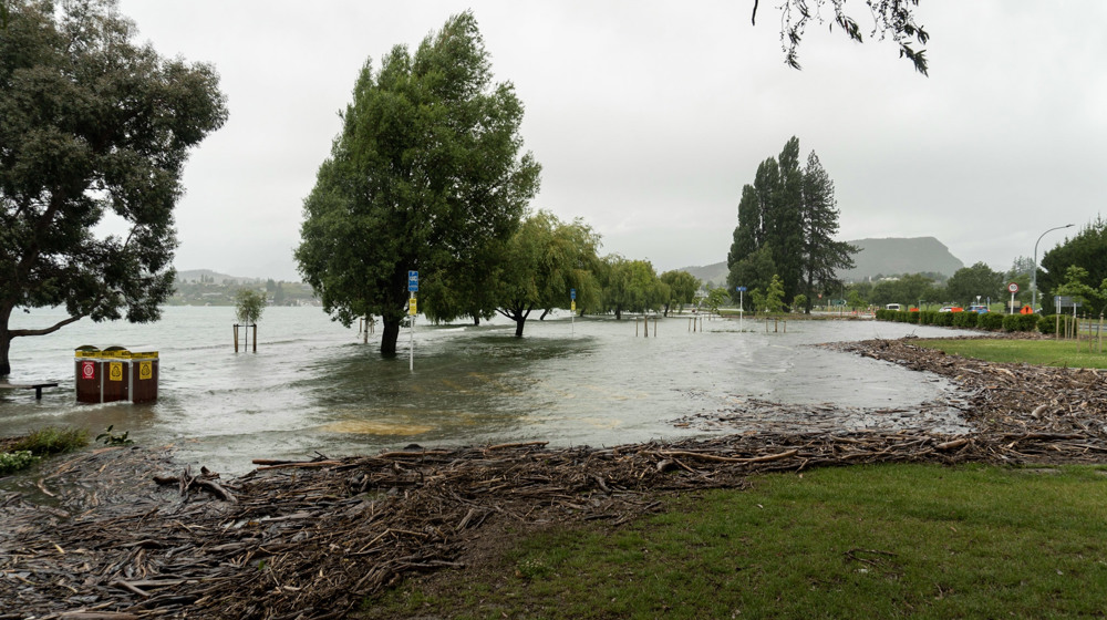 Storm Trees Flooding Wind Photographer Jono Young Otago Scenic 2020