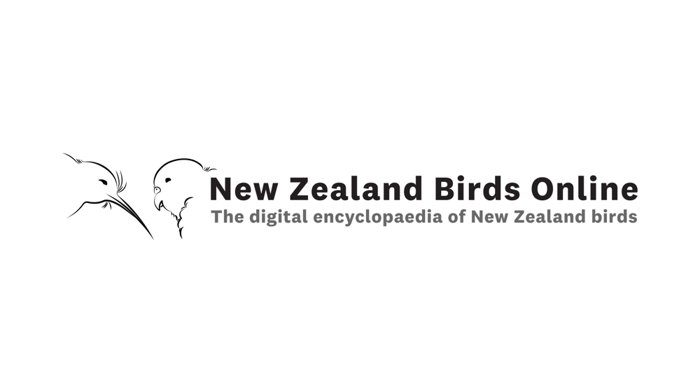 NZ Birds Online Digital Encyclopaedia Logo 1920X1080