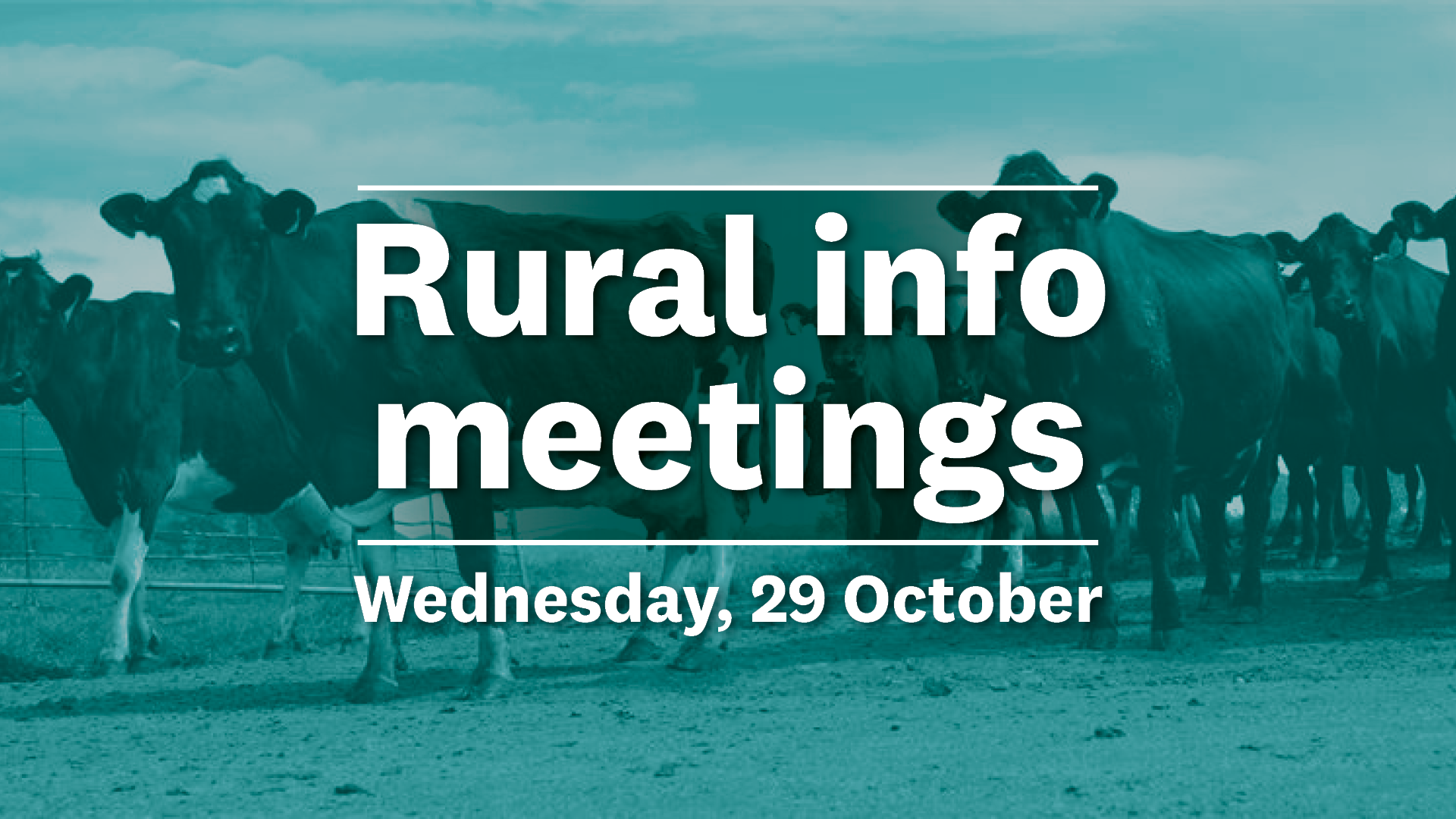 Rural Info Meetings Tile 28 Oct 2025