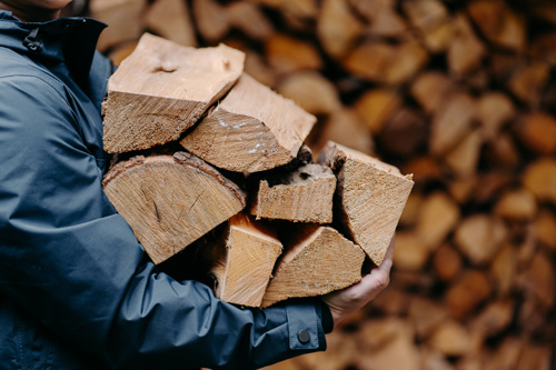 Person carrying firewood