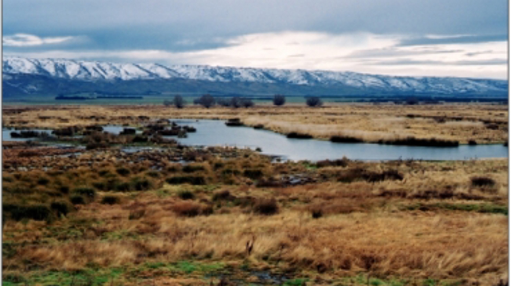 Upper Taieri Wetlands Complex (2003).jpg