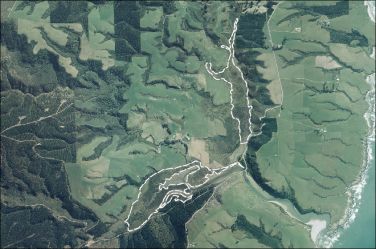 Aerial View of Akatore Creek Swamp (March 2006)