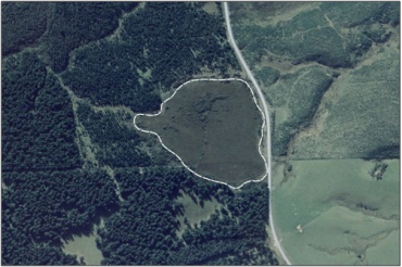 Aerial View of Black Swamp (March 2006)