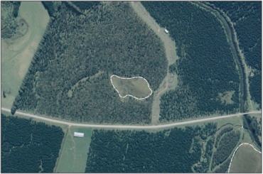 Aerial View of Blair Swamp (March 2006)  Updated: October 2011