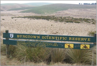 Bungtown Bog (2006)