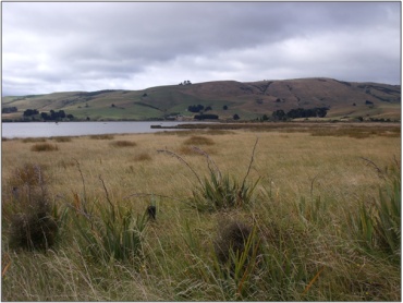 Catlins River Wetland (March 2010)