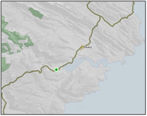 Catlins River Wetland