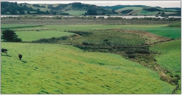 East Benhar Swamp (March 2006)