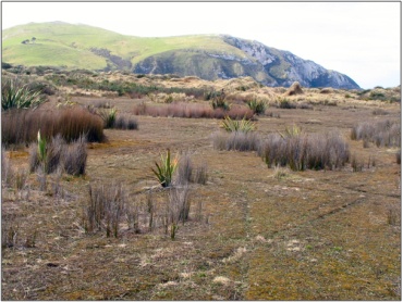 False Islet Wetland Management Area (September 2007)