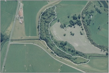 Aerial View of Finegand Lagoon Marsh (March 2006)