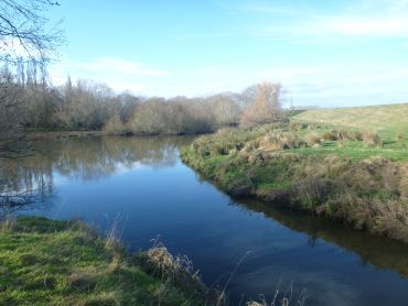 Finegand Lagoon Marsh (August 2013)