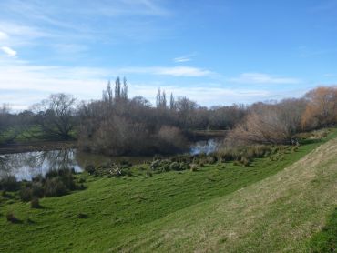 Finegand Lagoon Marsh (August 2013)