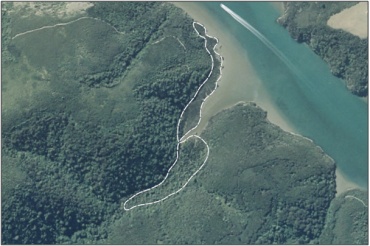 Aerial View of Governors Point Swamp (March 2006)