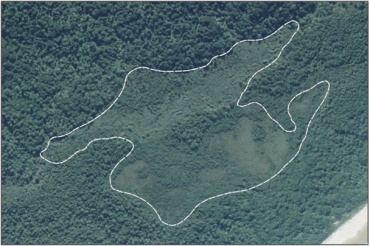 Aerial View of Hukihuki Swamp (March 2006)