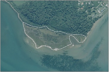 Aerial View of Hungerford Point Saltmarsh (March 2006)