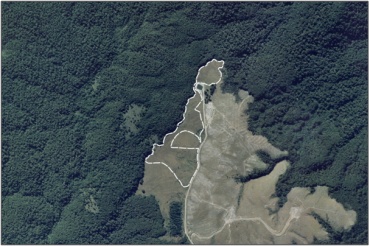 Aerial View of John O'Groats Hill Fen (March 2006)