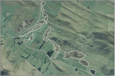 Aerial View of Kuriwao Saddle Fen Complex (March 2006)