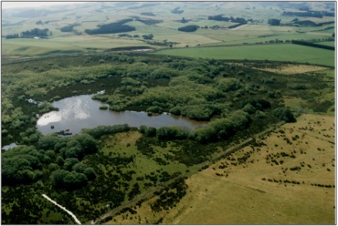 Lake Tuakitoto Wetland (September 2001)