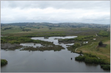 Lake Tuakitoto Wetland (February 2009)