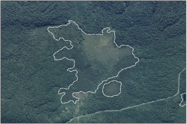 Aerial View of Lenz Reserve Wetlands (March 2006)