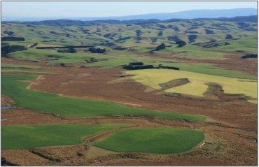 Red tussock fens and swamp in valley floor, closely surrounded by cultivated land, Loch Luella Fen Complex (2008)