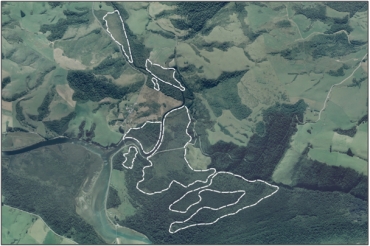 Aerial view of Maclennan River Podocarp Swamp Complex