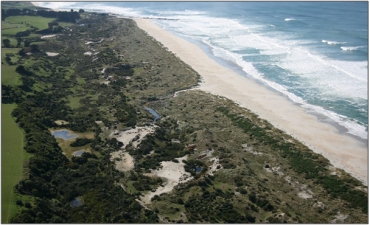 Ephemeral wetlands in dune hollows, and creek mouth marshes Measly Beach Wetland Complex (2008)