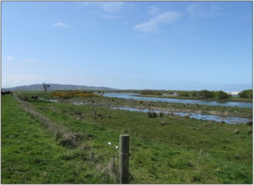 Molyneux Bay Swamp (2009)