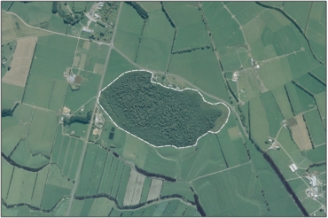 Aerial view of Otanomomo Tuatiki Reserve (March 2006)